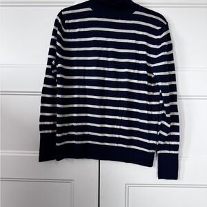 Banana Republic Navy and White Striped Turtleneck Sweater